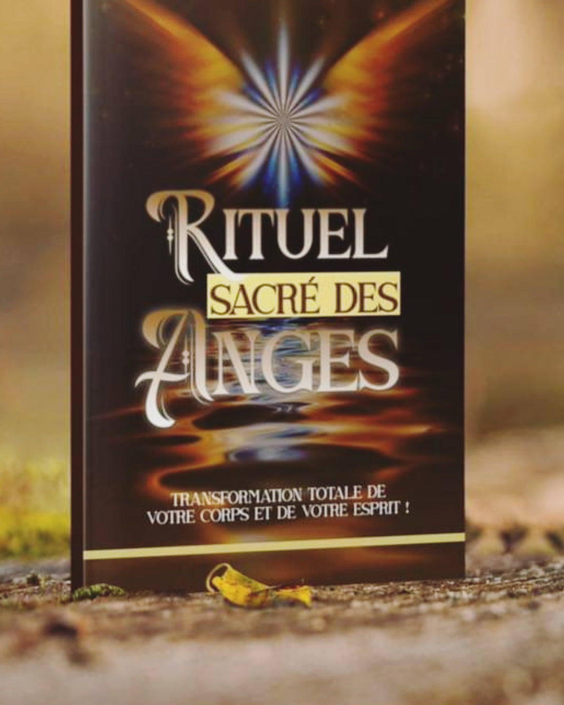 Le Rituel Sacré des Anges – Élevez Votre Vibration | Chantale Médium Thérapeute